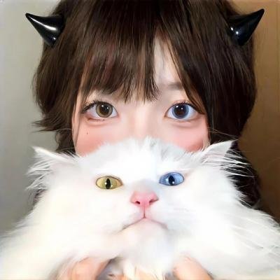 泰囧